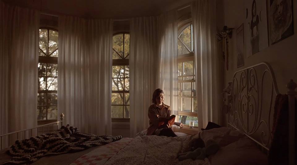 16388143_1383095491761544_1466300930066724774_n