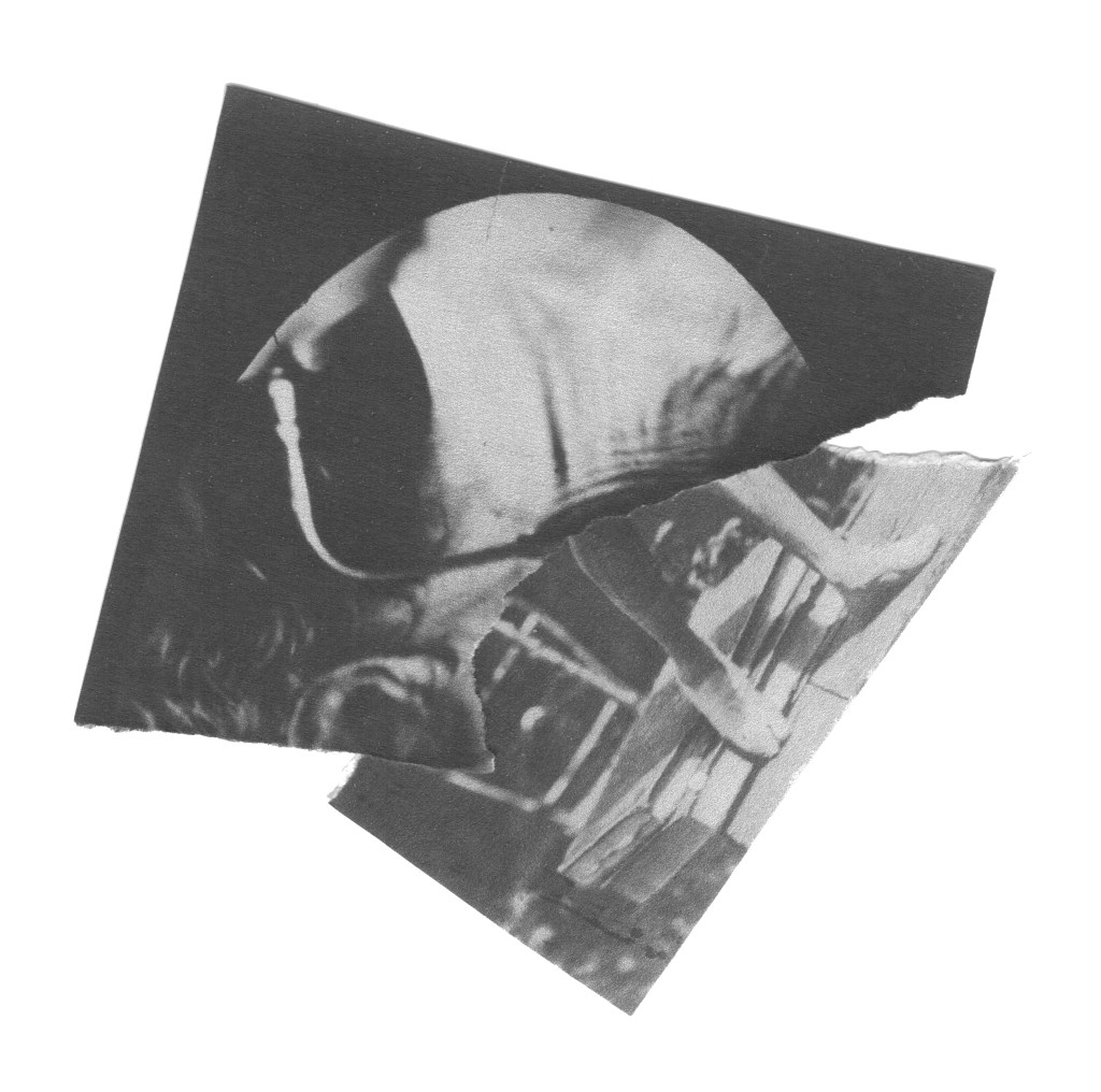 imagem-1_projecto-p_ilhas-studio