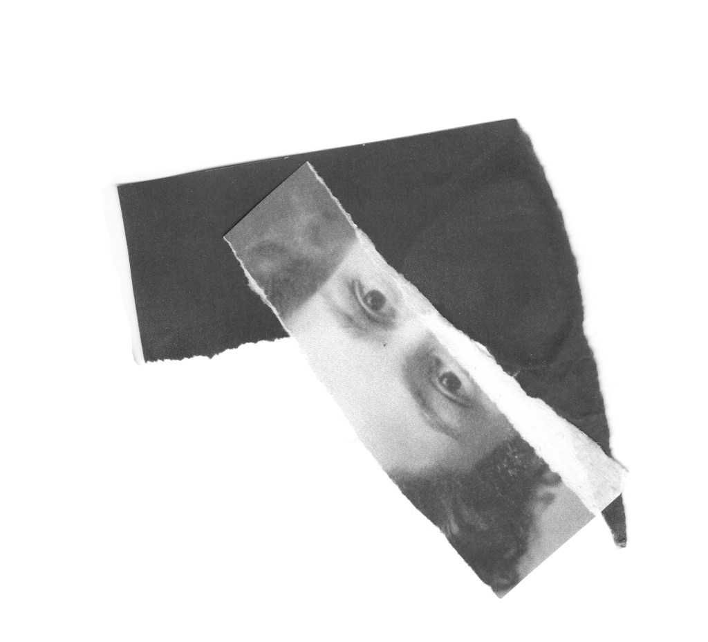 imagem-3_projecto-p_ilhas-studio