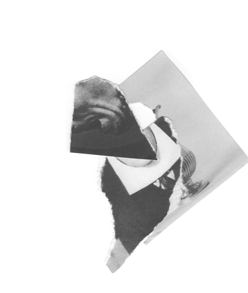 imagem-5_projecto-p_ilhas-studio