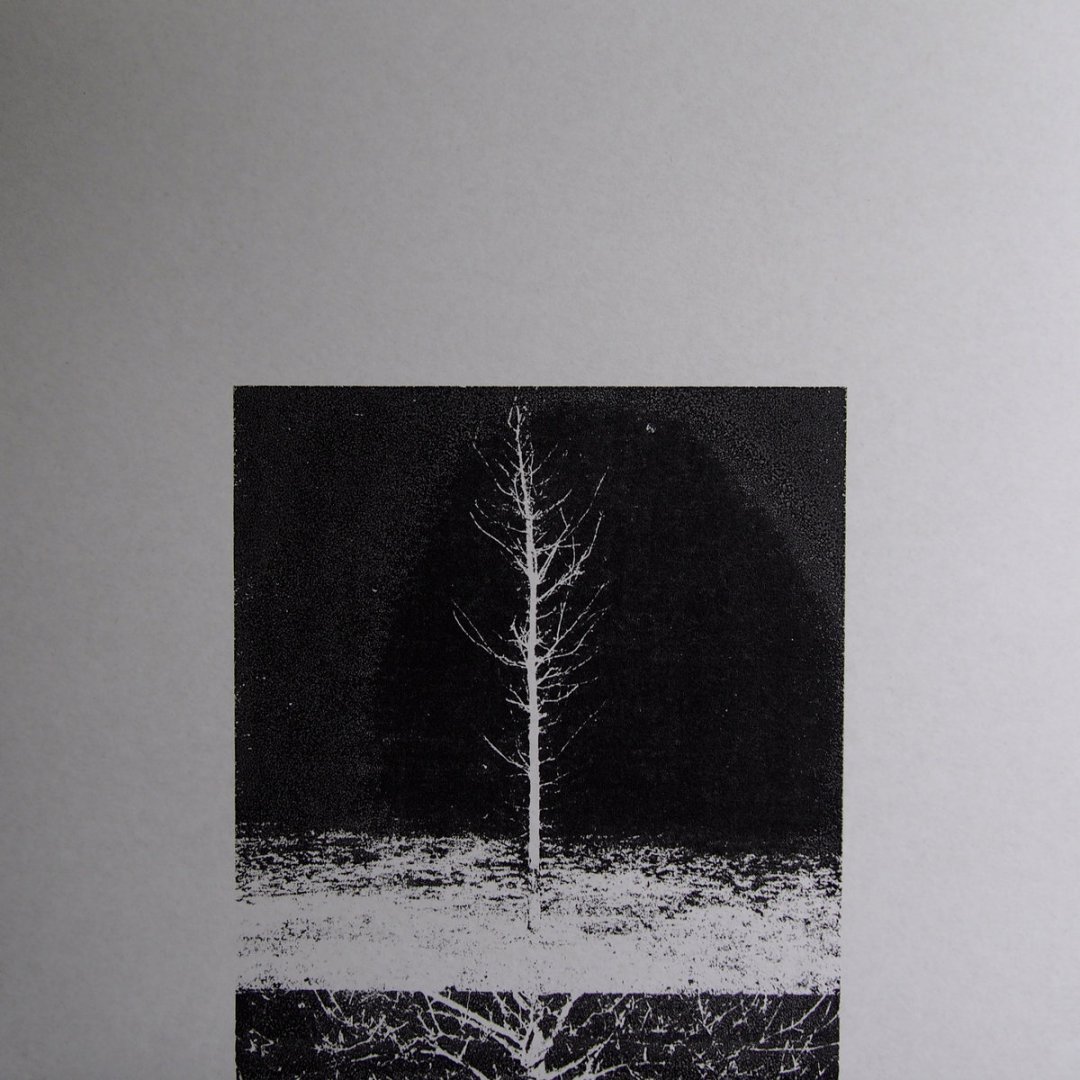 Francisco Oliveira, On The Act Of Reminding